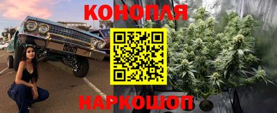 СК Пыть-Ях