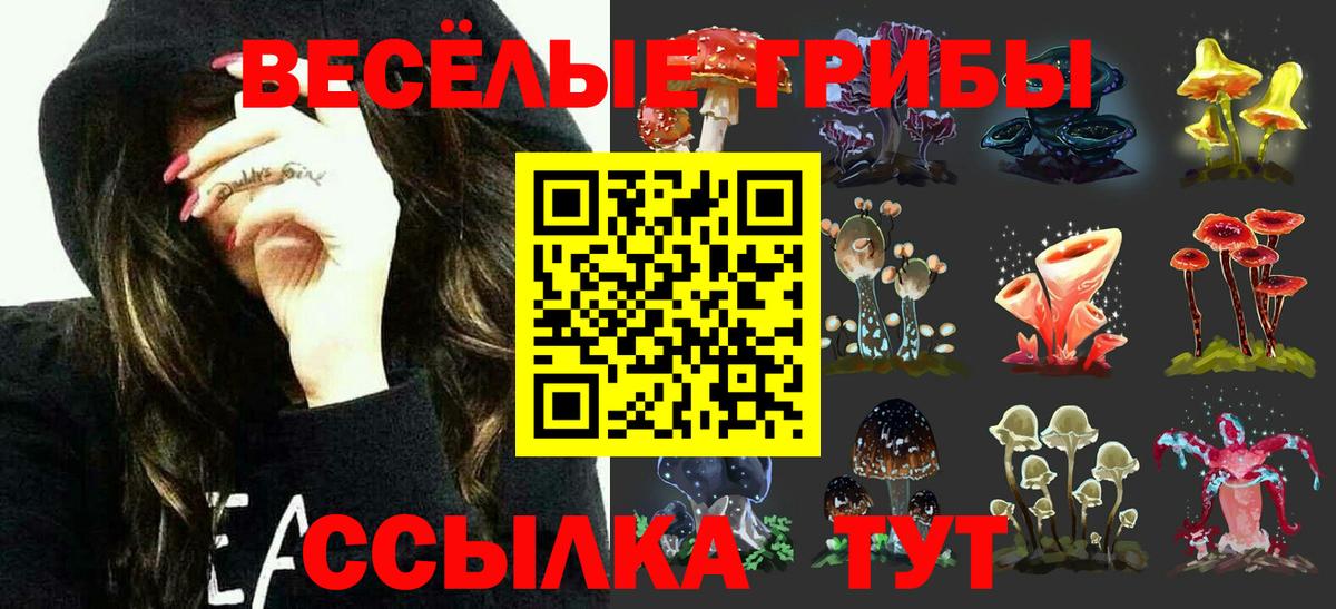 Галлюциногенные грибы MAGIC MUSHROOMS  Вход с VPN  Саратов 